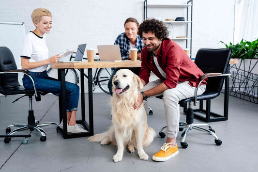 Perros en el trabajo: ¡Una tendencia en aumento!