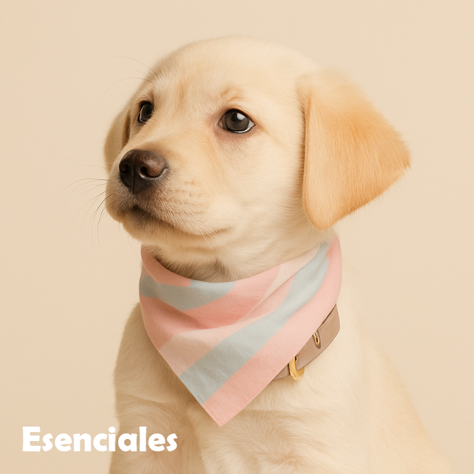 Esenciales