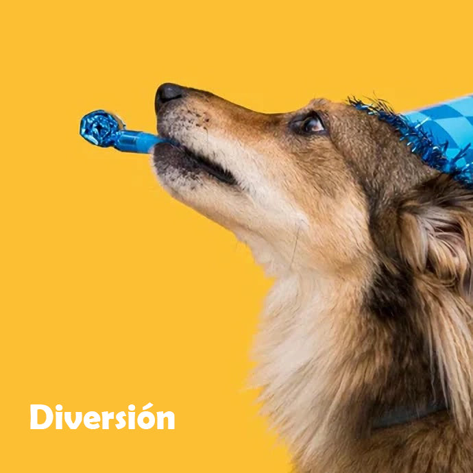 Diversión