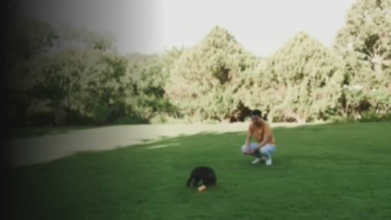 Cargar video: 